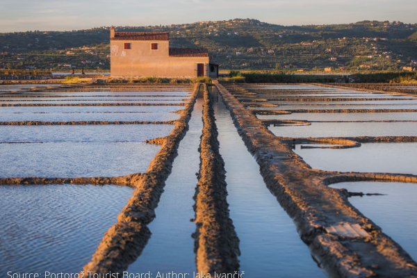 7. konferenca UNESCO UNITWIN: Končna navodila